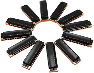 10 Holes Diatonic Blues Harmonica Set Of 12 Harp Set