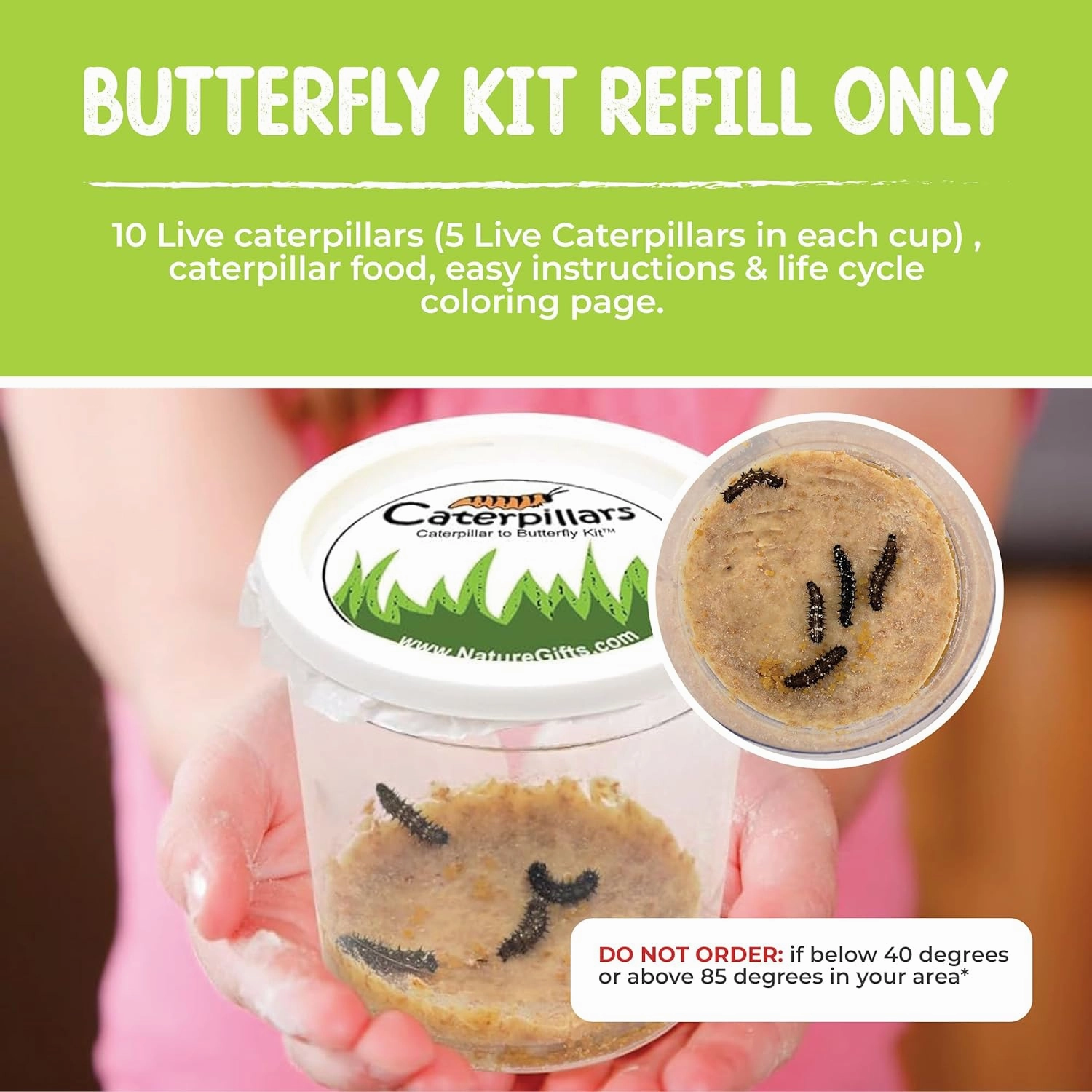 10 Live Caterpillars for Butterfly Habitat Kit - Refill for Painted Lady Butterfly Kit with Caterpillar Food, Instructions - Educational Science Kit