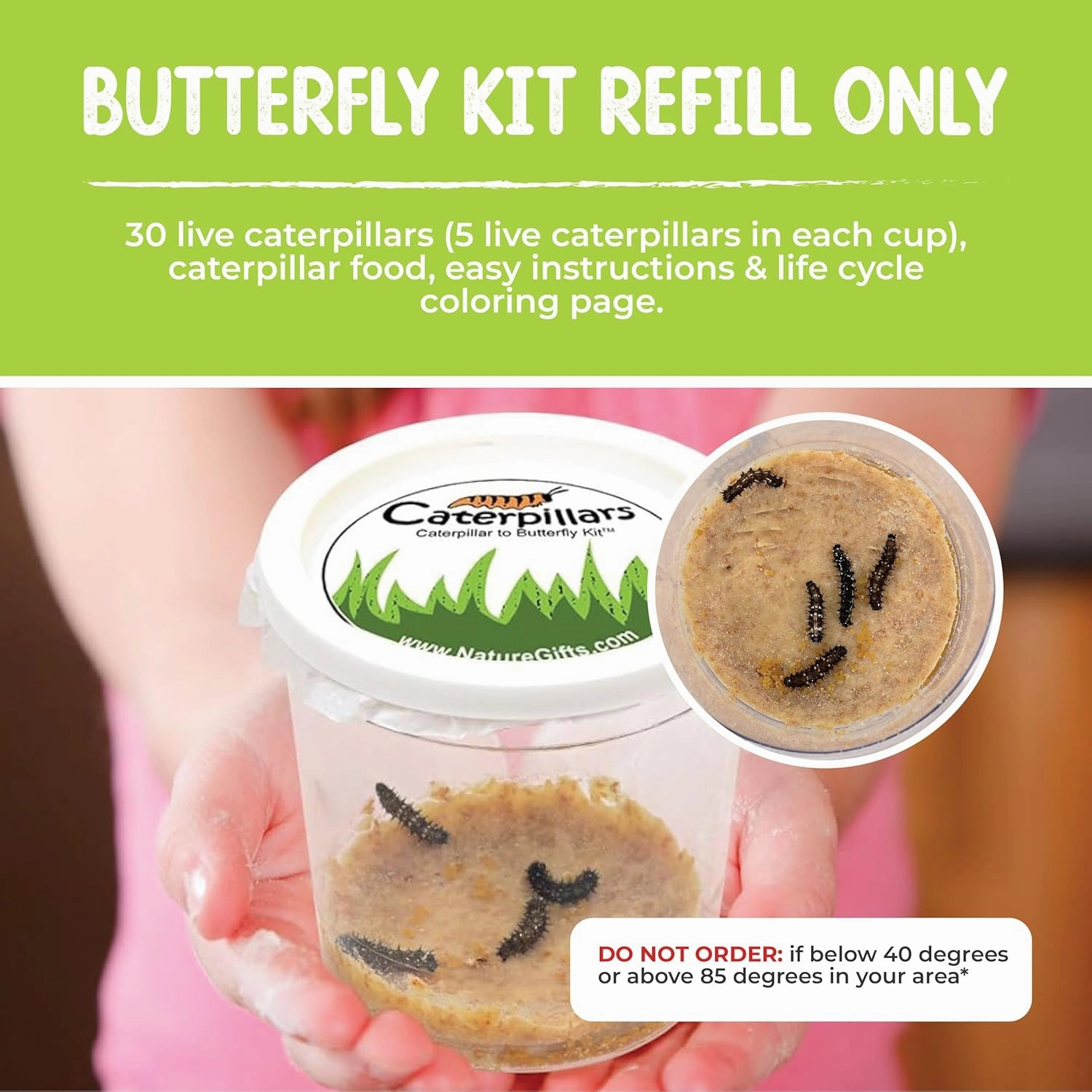 30 Live Caterpillars for Butterfly Habitat Kit - Refill for Painted Lady Butterfly Kit with Caterpillar Food, Instructions - Educational Science Kit, 6 Cups of 5 Caterpillars