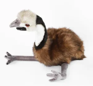 Australia Emu Stuffed Animal,Brown Cuddle Bird Plush Toy,Gifts for Kids 10.5 Inches