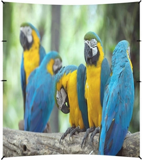 Colorful Macaws Parrots Beach Tent Camping Sun Shelters Portable Outdoor Canopy Sun Shade for Camping Trips Fishing Backyard Fun or Picnics Easy Setup with Carrying Bag