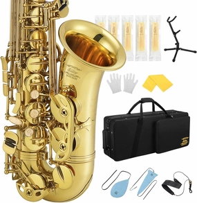 Eastar Professional Alto Saxophone Eb Gold Kit - With Cleaning Cloth, Carrying Case, Mouthpiece, Neck Strap, Reeds and Stand