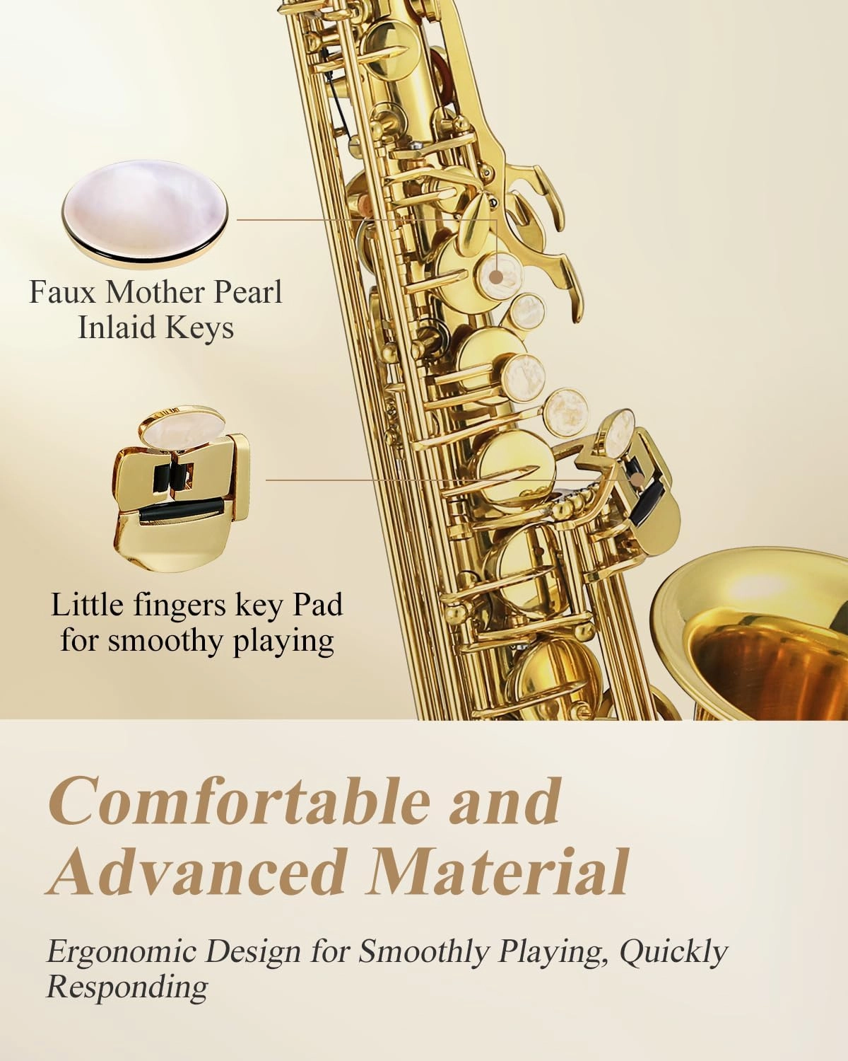 Eastar Professional Alto Saxophone Eb Gold Kit - With Cleaning Cloth, Carrying Case, Mouthpiece, Neck Strap, Reeds and Stand