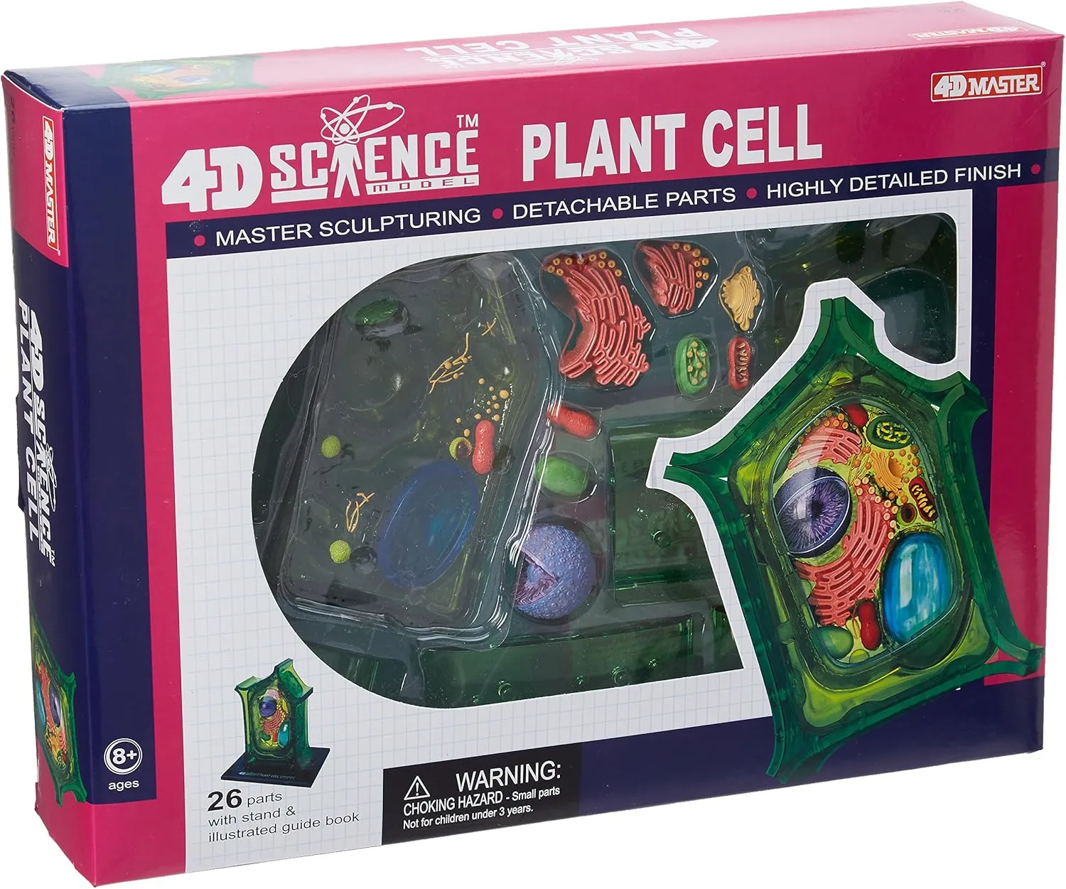 Famemaster 4D-Science Plant Cell Anatomy Model