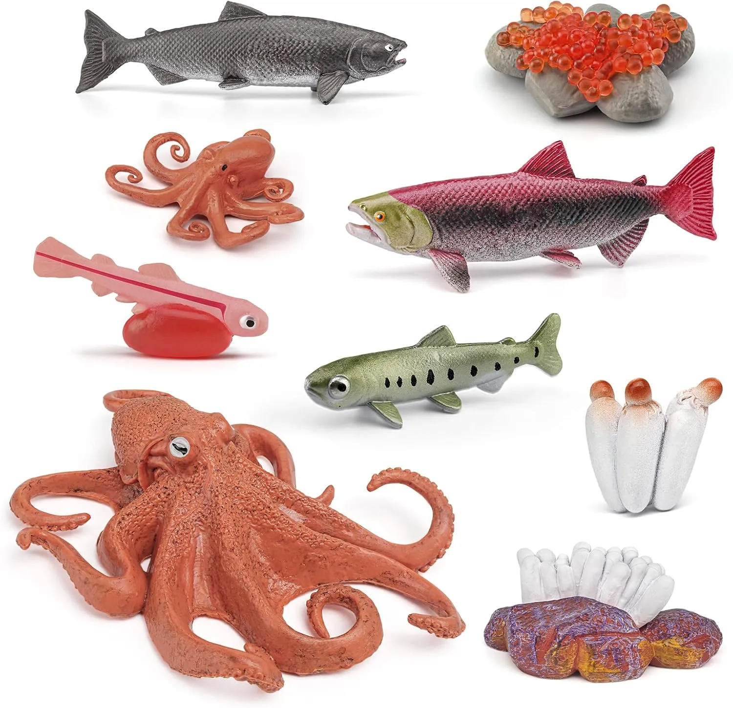 Fish Life Cycle of Octopus Figurines Salmon Figurines Octopus Figures Set Toys Realistic Animals Preschool Animals Eduactional Project Diorama Model Toy for Kids