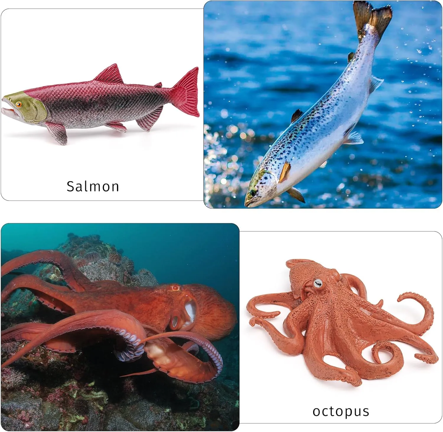 Fish Life Cycle of Octopus Figurines Salmon Figurines Octopus Figures Set Toys Realistic Animals Preschool Animals Eduactional Project Diorama Model Toy for Kids
