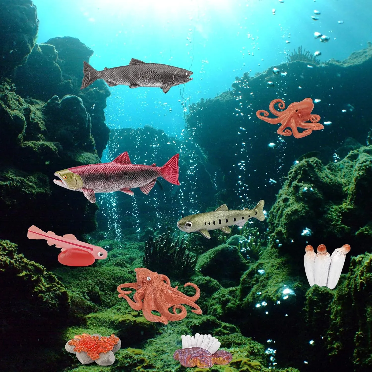 Fish Life Cycle of Octopus Figurines Salmon Figurines Octopus Figures Set Toys Realistic Animals Preschool Animals Eduactional Project Diorama Model Toy for Kids