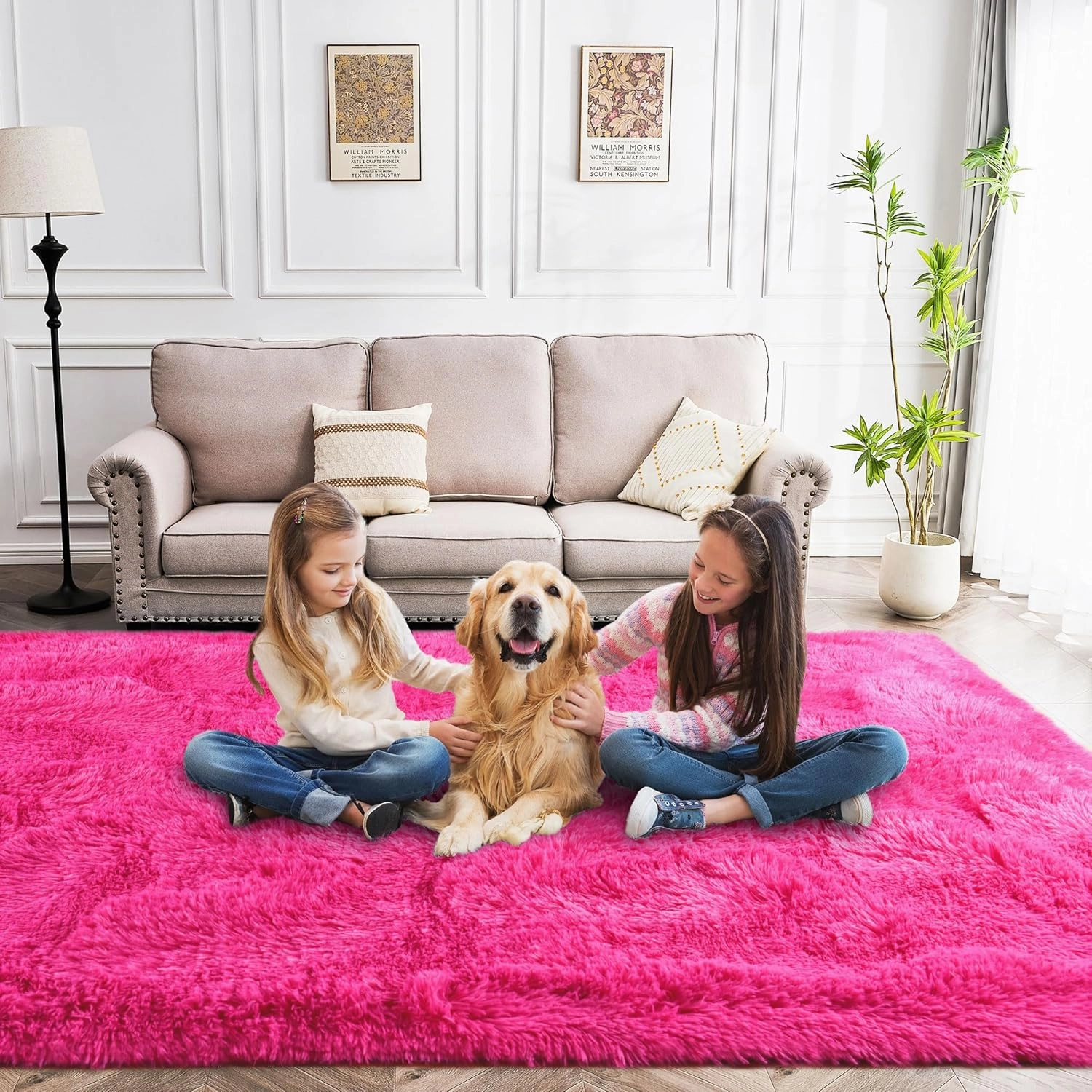 Fluffy Rug Washable 4x6 Feet, Hot Pink Fuzzy Rugs for Bedroom Girls, Flame Retardant Plush Shaggy Rug Home Decor