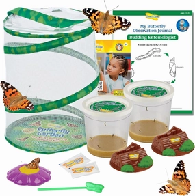 Insect Lore Butterfly Garden | 10 Live Baby Caterpillars | Habitat, STEM Journal, Chrys-A-Lids, Feeder | Raise and Release Painted Lady Butterflies