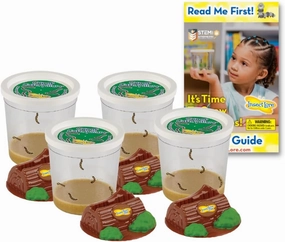 Insect Lore Funtastic 4 Cups of Caterpillars