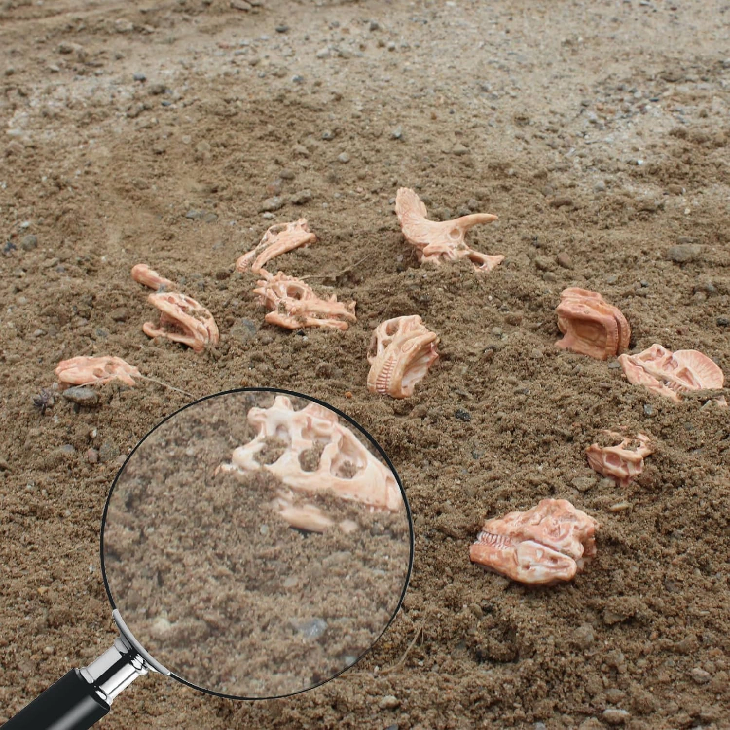 LC JoyCre Mini Dinosaur Bones for Kids Sandbox Toys - Realistic Fake Dinosaur Bones for Kids to Dig Up
