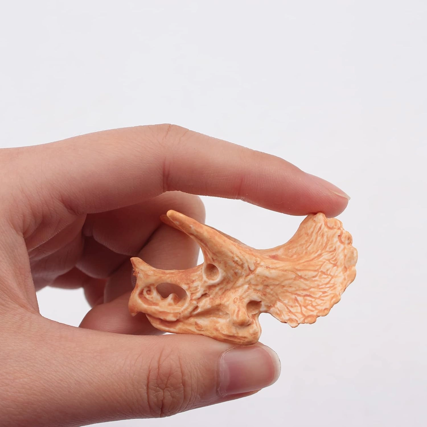 LC JoyCre Mini Dinosaur Bones for Kids Sandbox Toys - Realistic Fake Dinosaur Bones for Kids to Dig Up