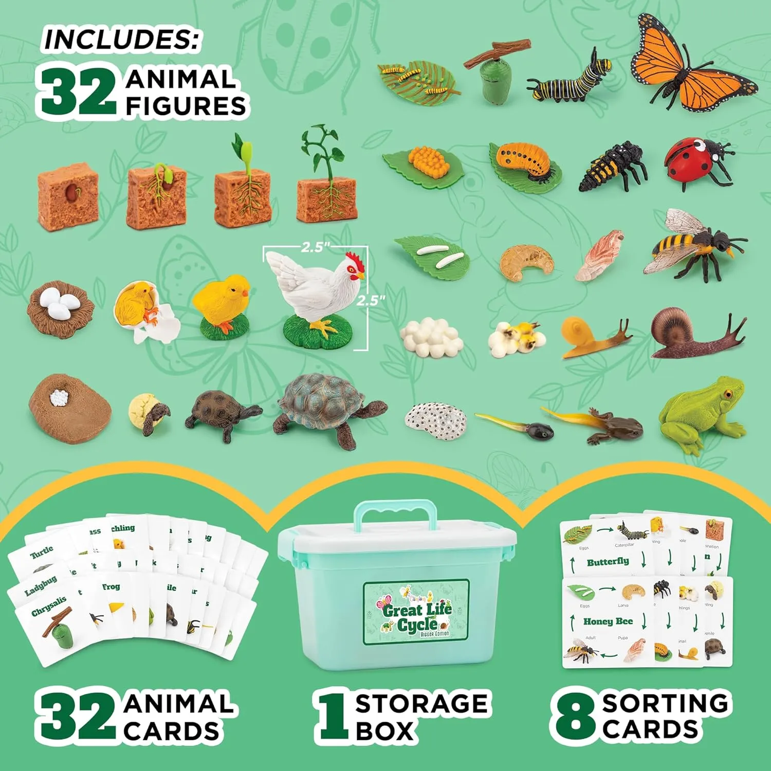 Life Cycle Animal Kit - 32 Piece Montessori Science Toy with Frog, Ladybug, Butterfly, Bee, Chicken, Turtle, Snail & Plant Figurines. Matching Game & STEM Educational Gift for Kids Ages 3–8
