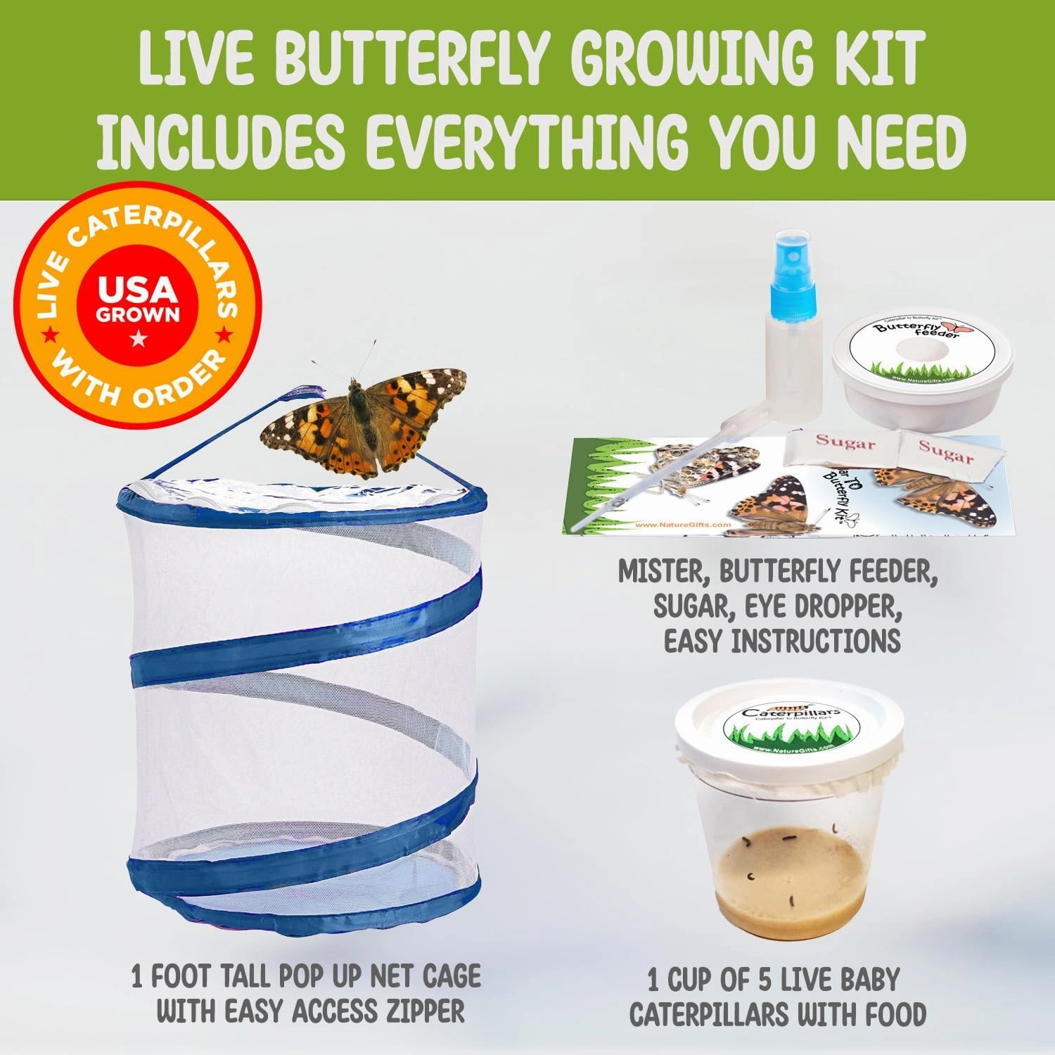 Nature Gift Store Live Butterfly Kit: Shipped with 5 Painted Lady Caterpillars Now- Pop Up Cage