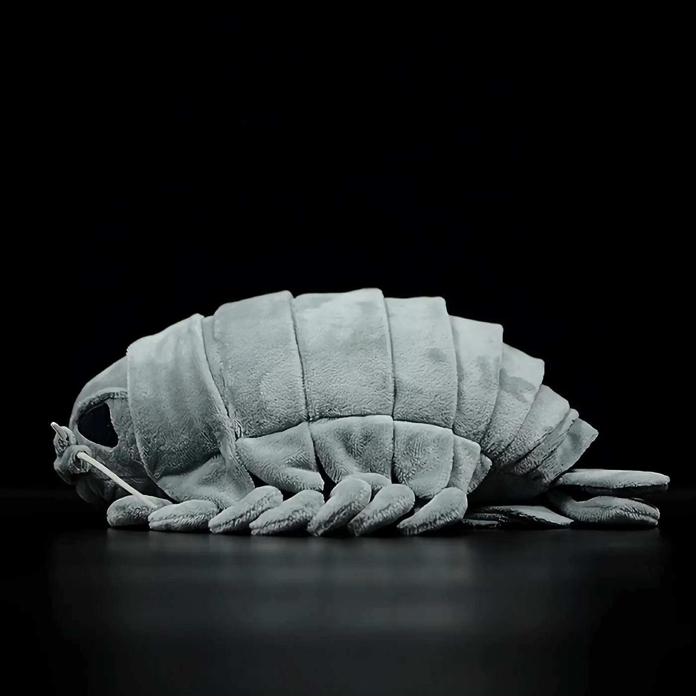 Nohito 11.8'' Realistic Grey Giant Isopod Plush Toy Marine Life Stuffed Animal Insect Simulation Worm Lice Pillow Isopod Arthropod Toys Doll (11.8'', Grey Giant Isopod)
