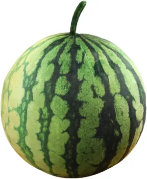 Plush Watermelon Pillow Fruit Shaped Pillows Watermelon Shaped Throw Pillow Cute Stuffed Fruit Cushion Hug Toy Decorative Pillow Home Decor