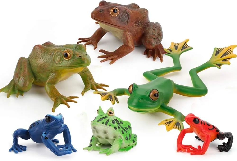 Realistic 6 PCS Animal Frog Bullfrog Model Figures Figurine Family Party Favors Supplies Cake Toppers Set Toys for 5 6 7 8 Years Old Boys Girls Kid Toddlers