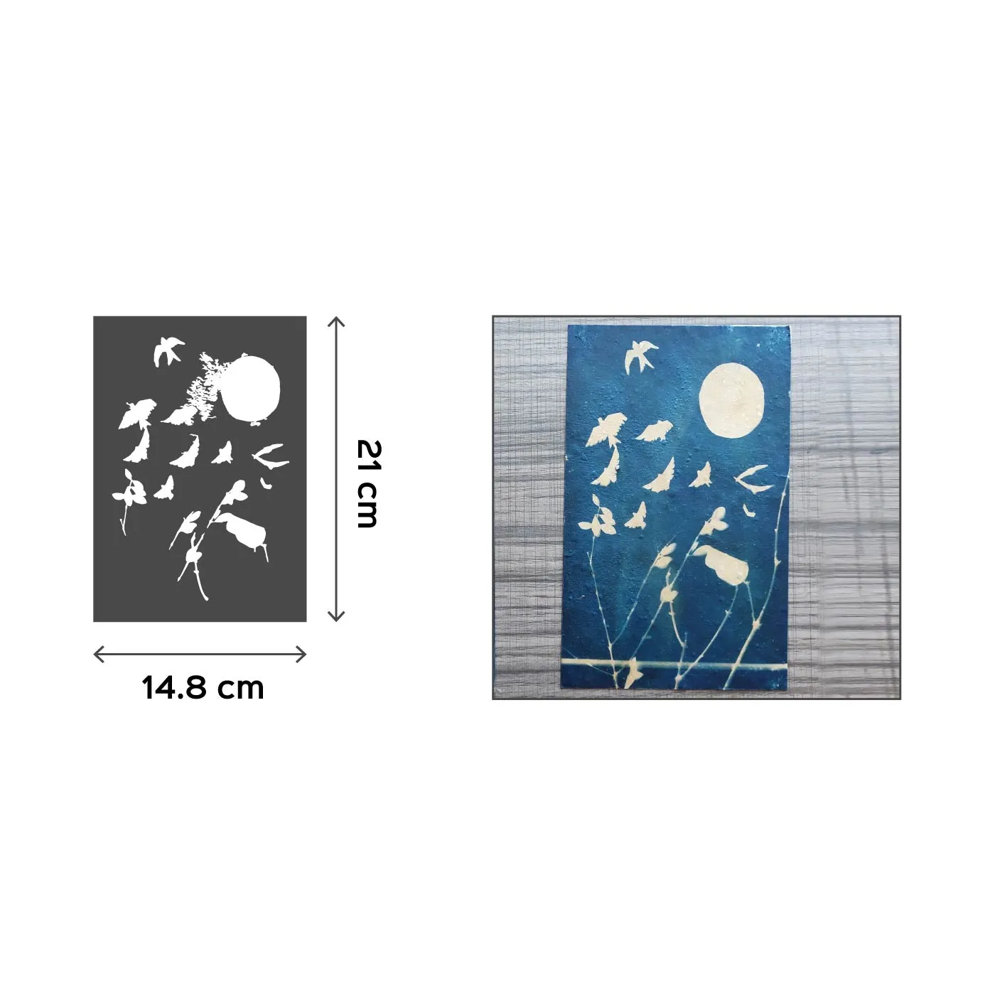 Solar Printing DIY Kit