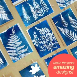 Solar Printing DIY Kit