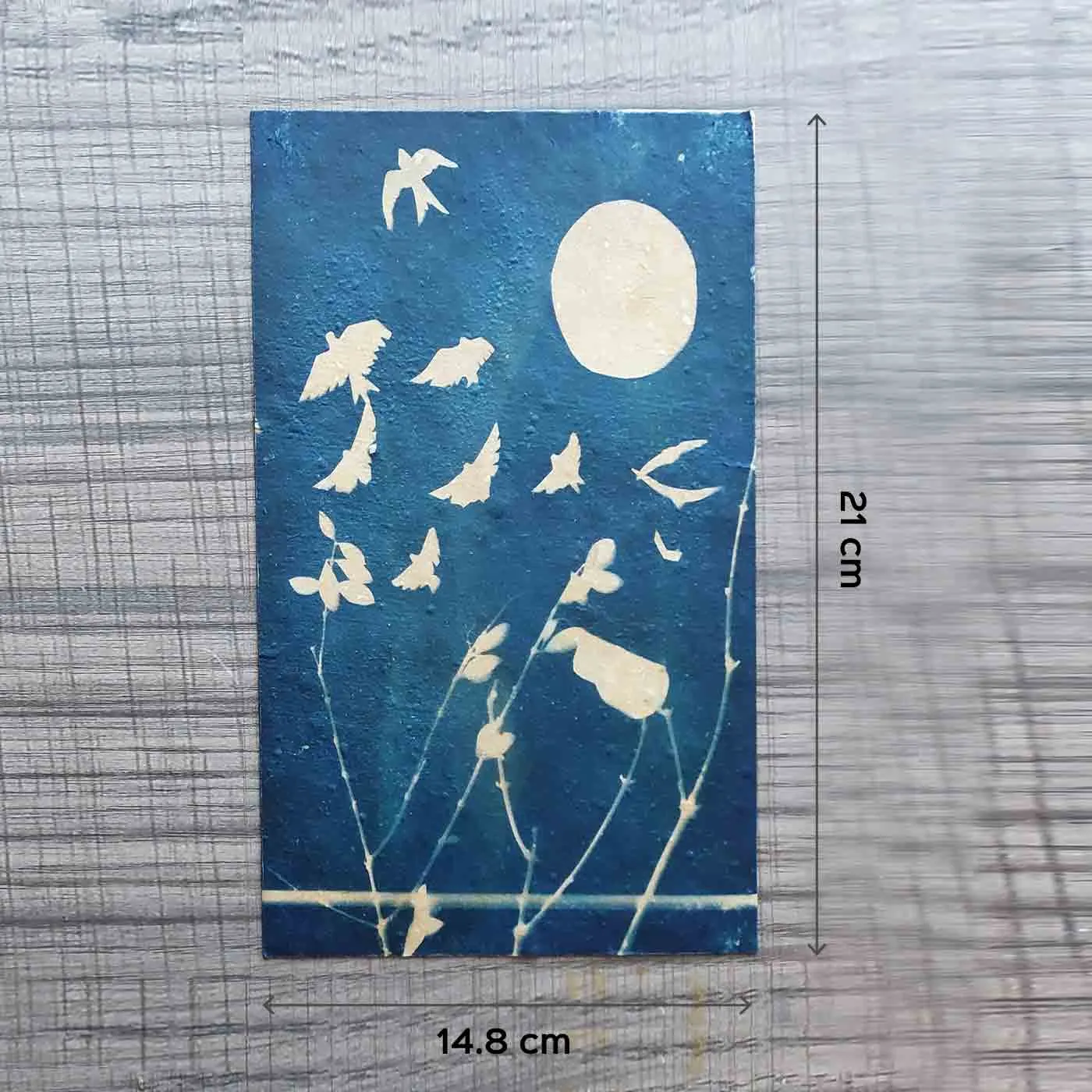 Solar Printing DIY Kit