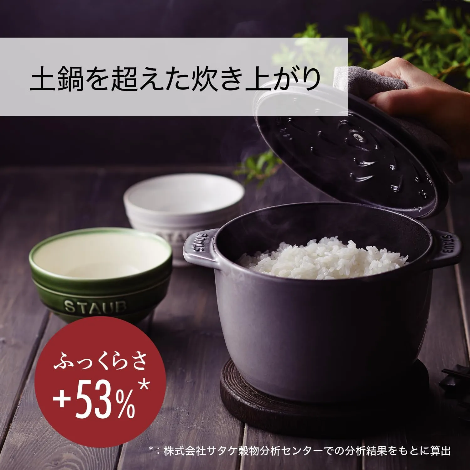 staub La Cocotte de GOHAN 40509-703 La Cocotte de Gohan Gray M 6.3 inches (16 cm) Rice Pot, 2 Pieces, Paint, Cast Iron Pot, Induction Compatible, Rice Cooker